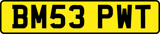 BM53PWT