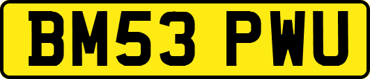 BM53PWU