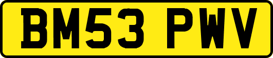 BM53PWV
