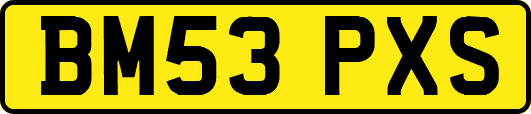BM53PXS
