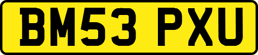 BM53PXU