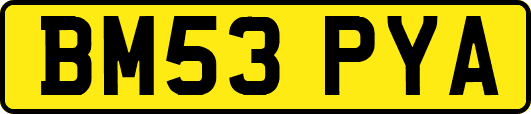 BM53PYA