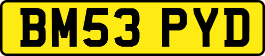 BM53PYD