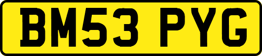 BM53PYG
