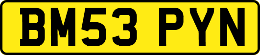 BM53PYN