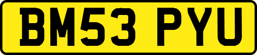 BM53PYU