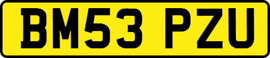 BM53PZU
