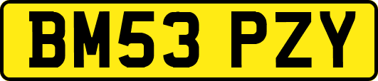 BM53PZY