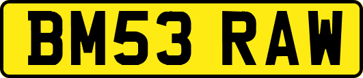 BM53RAW