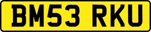 BM53RKU