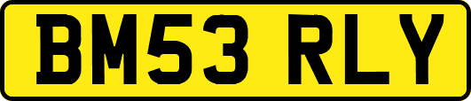 BM53RLY