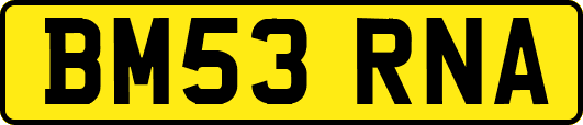 BM53RNA