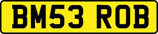 BM53ROB
