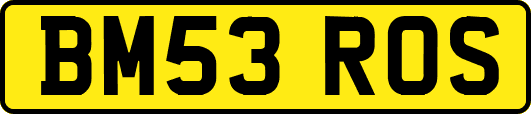 BM53ROS