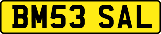 BM53SAL