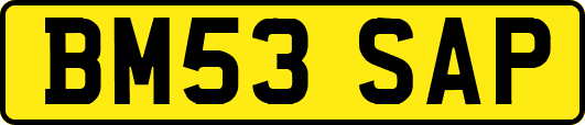 BM53SAP