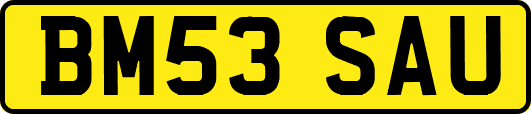 BM53SAU