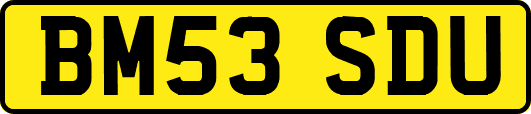 BM53SDU