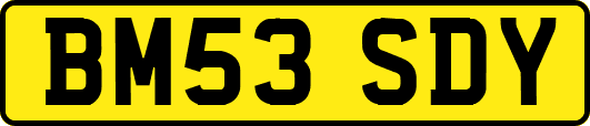 BM53SDY