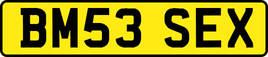 BM53SEX