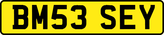 BM53SEY
