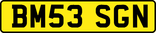 BM53SGN