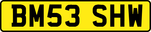 BM53SHW