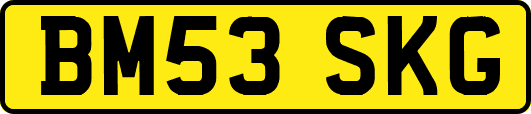 BM53SKG