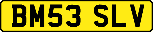 BM53SLV