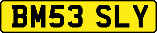 BM53SLY