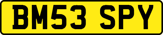 BM53SPY