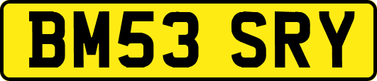 BM53SRY