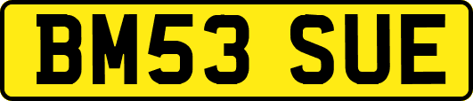 BM53SUE