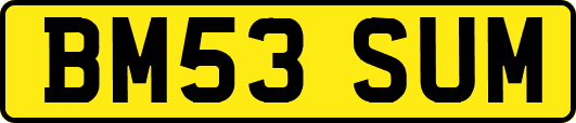 BM53SUM