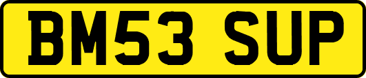 BM53SUP