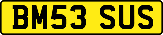 BM53SUS