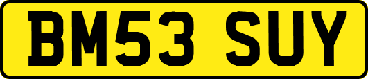 BM53SUY