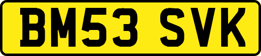 BM53SVK