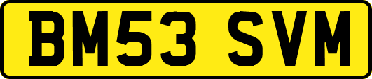 BM53SVM