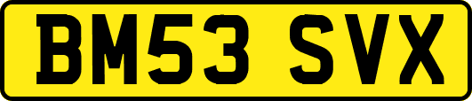 BM53SVX