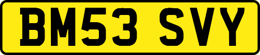 BM53SVY
