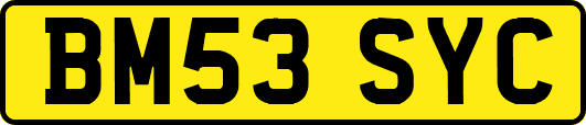 BM53SYC