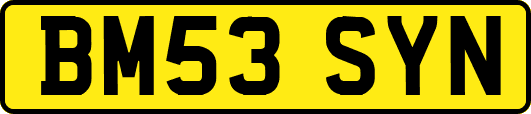 BM53SYN
