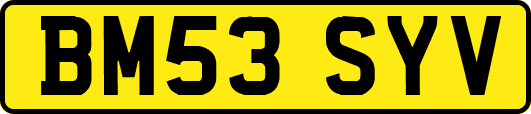 BM53SYV