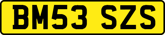 BM53SZS
