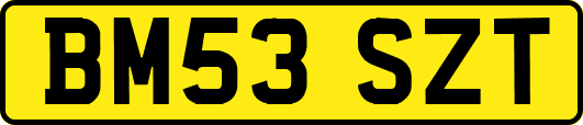 BM53SZT