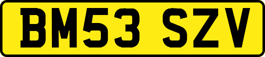 BM53SZV