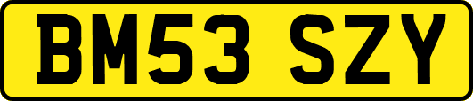 BM53SZY