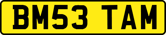 BM53TAM