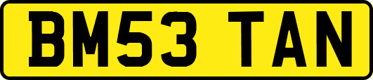 BM53TAN